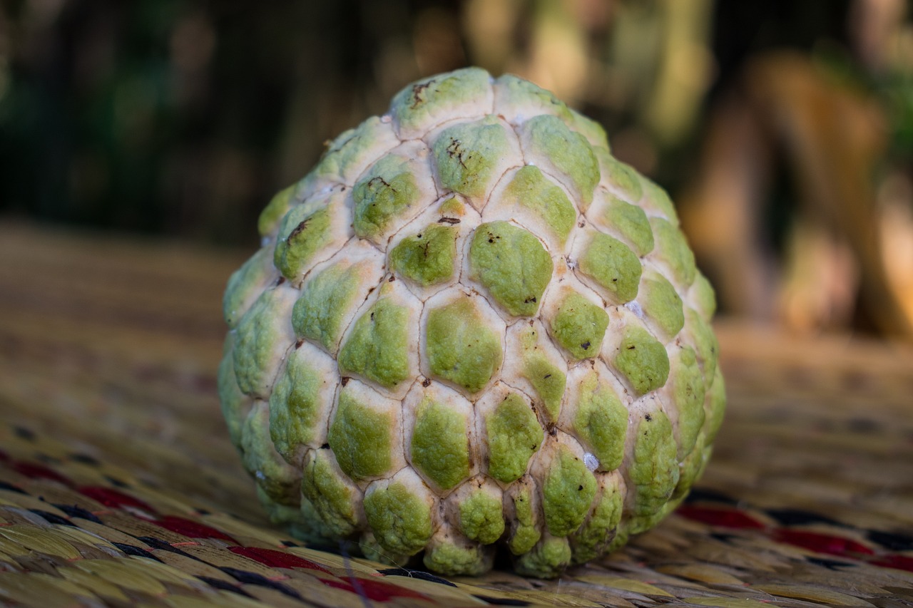 Na là loại quả ngon miệng, bổ dưỡng nhưng không phải ai cũng phù hợp với loại trái cây này. (Ảnh minh họa: kho ảnh Pixabay)